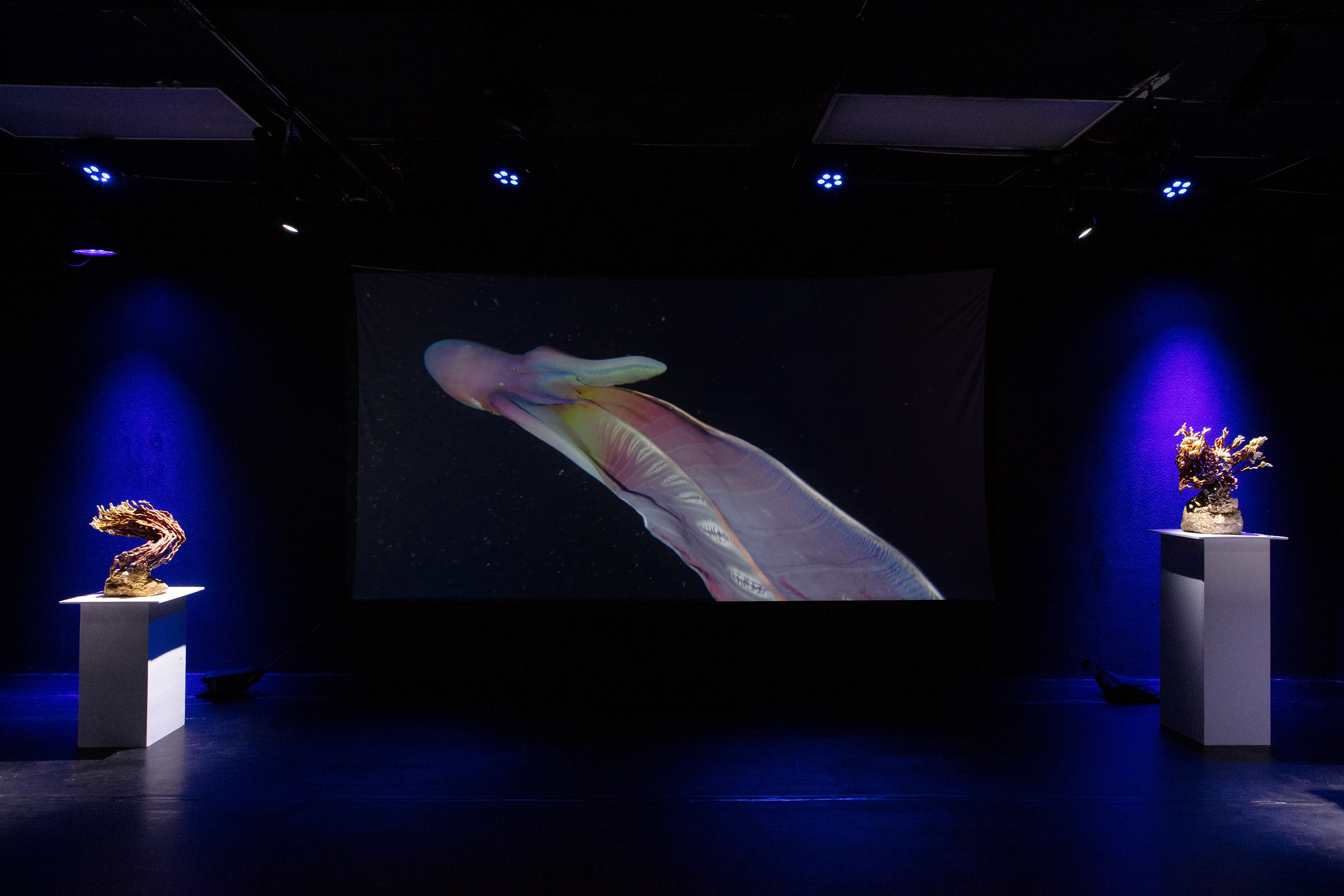 Frontal installaion view of a projecion screen in a dark theater with two sculptures on both the left and right sides of the screen illumated by spotlights